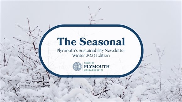Sustainability Newsletter- Summer 2023 Edition 