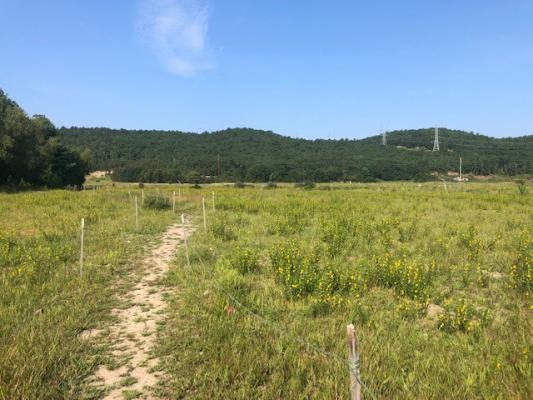 Foothills Preserve Entrance