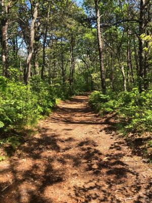 David E. Alper Nature Preserve Main Trail
