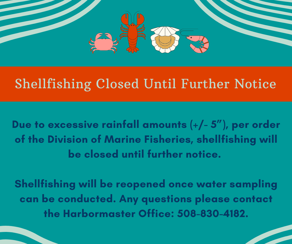 52325 Shellfish Update