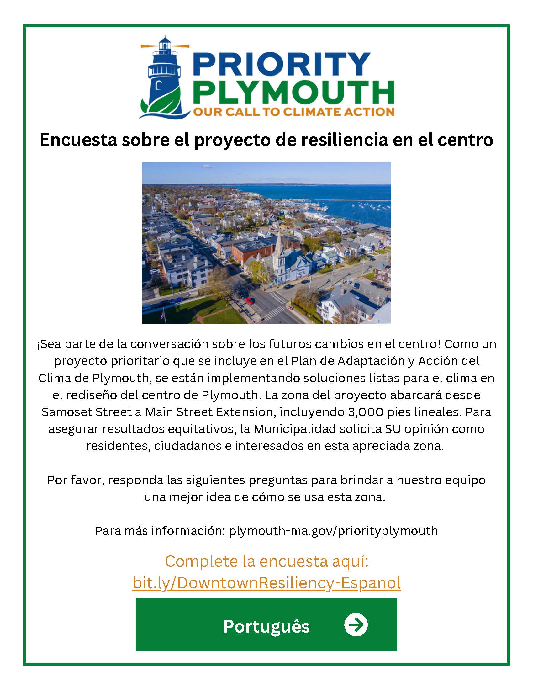 DR Survey - 3 languages (1)_Page_2