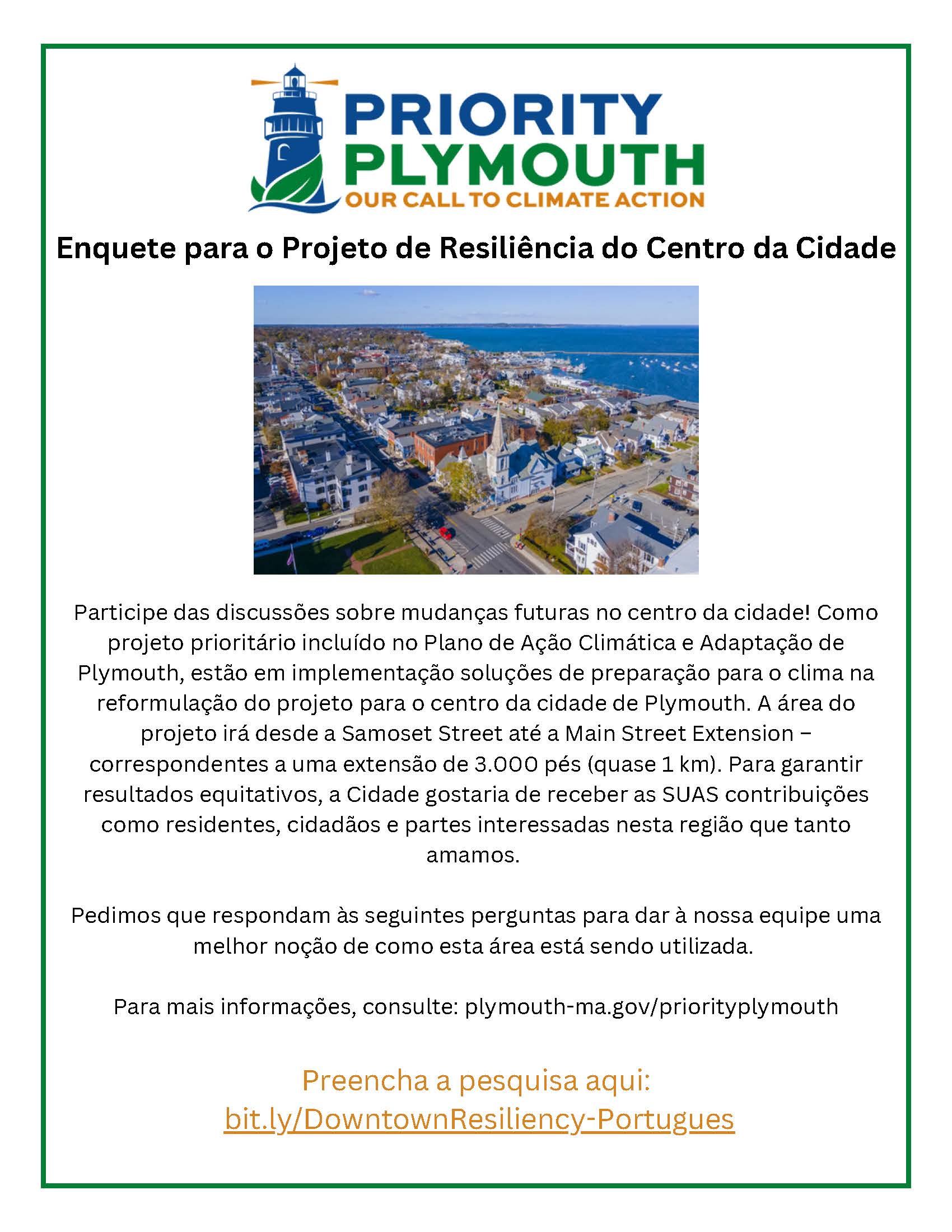 DR Survey - 3 languages (1)_Page_3