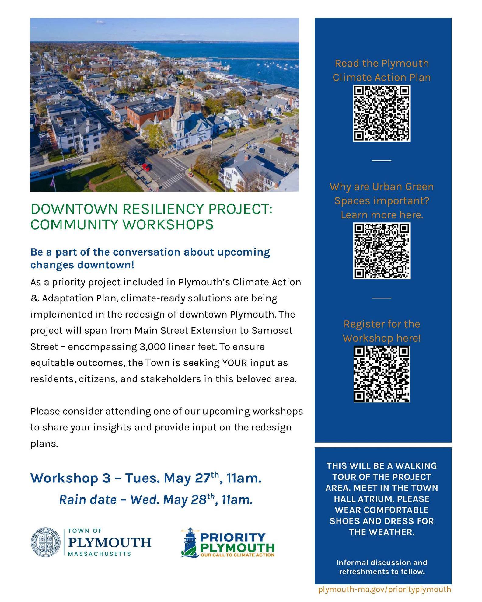 Downtown Resiliency (1)