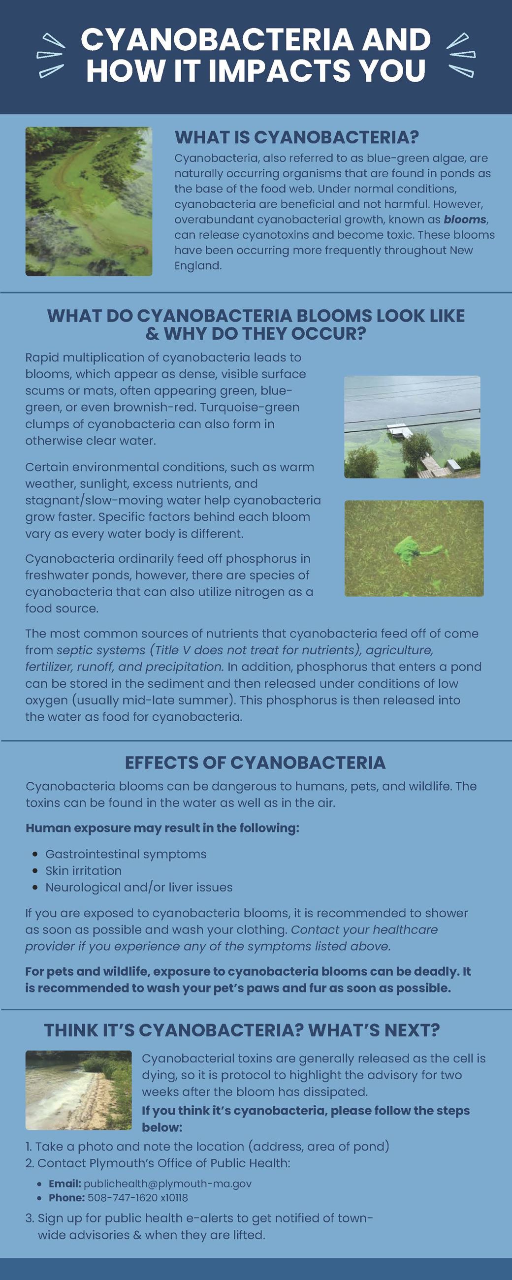 FINAL - Cyanobacteria Infographic (1)