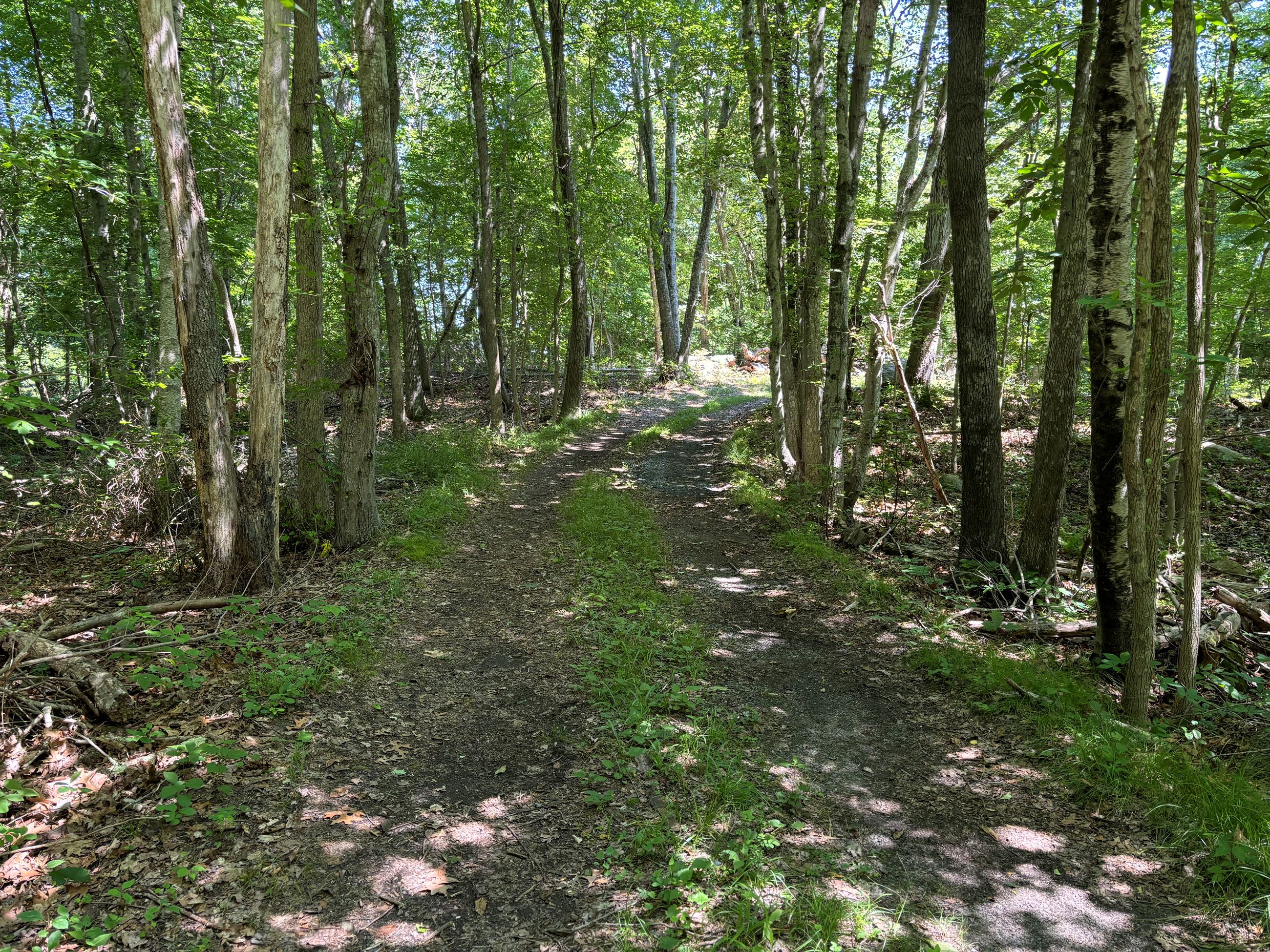 Rocky Point driveway