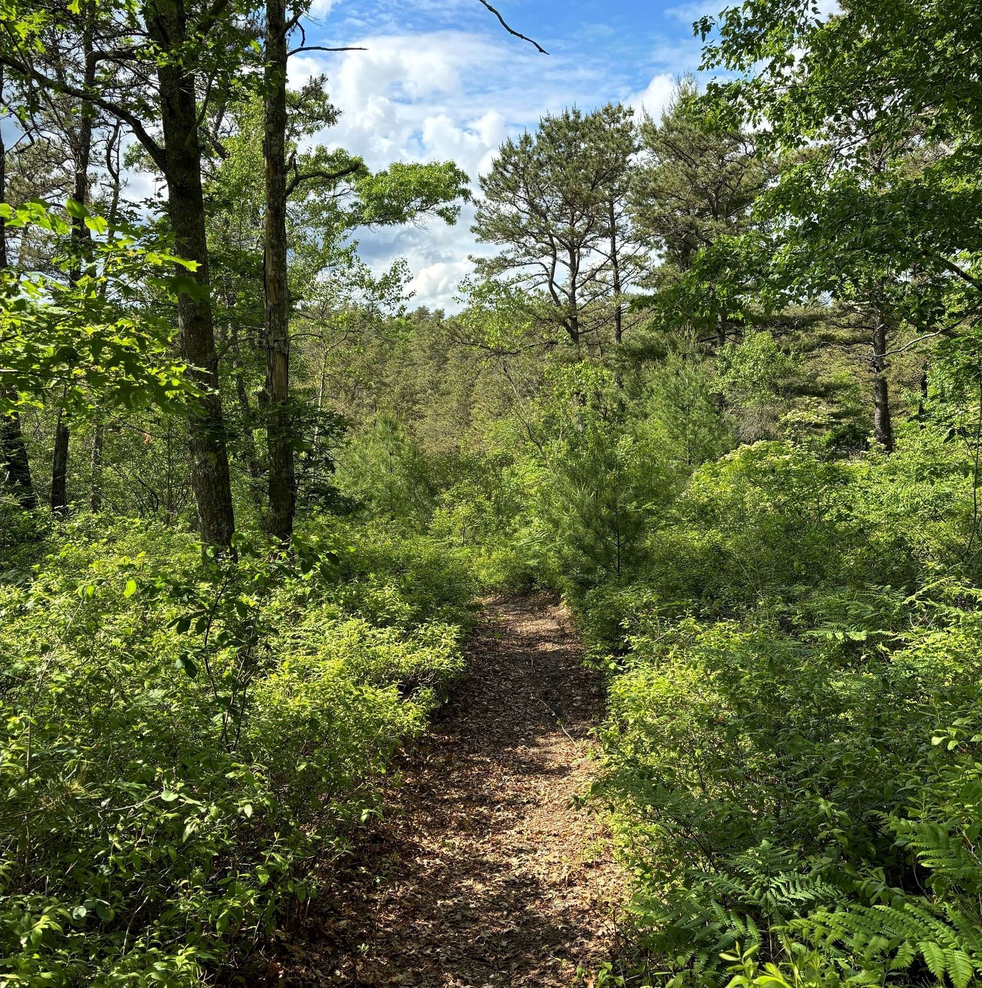 Comassakumkanit Trail