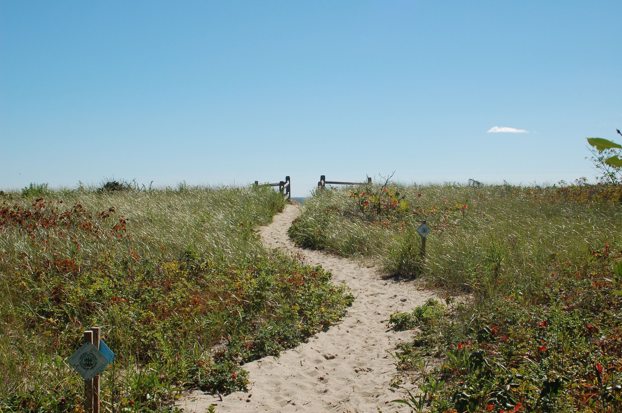 Center Hill Beach Trail