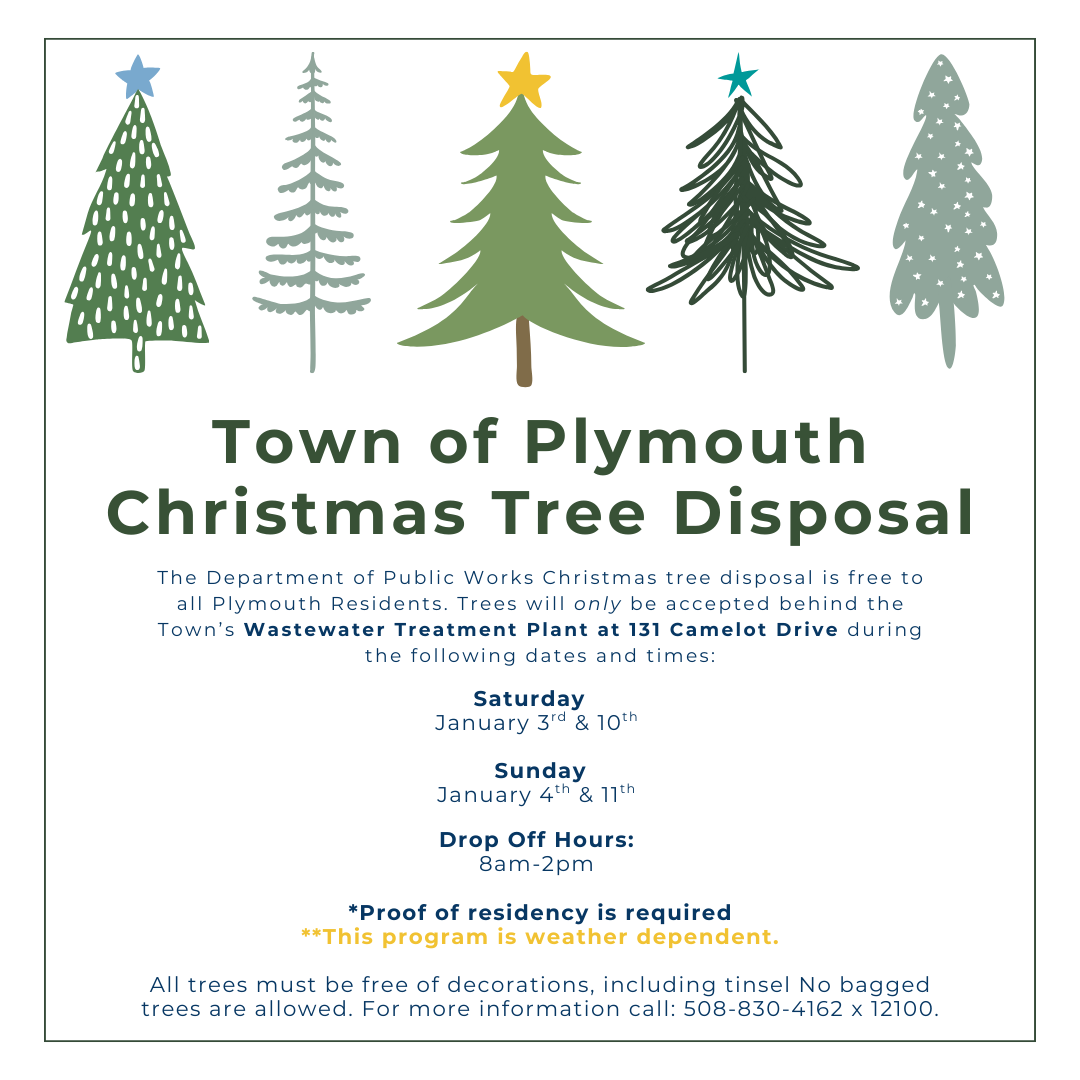 2025 Christmas Tree Removal Post